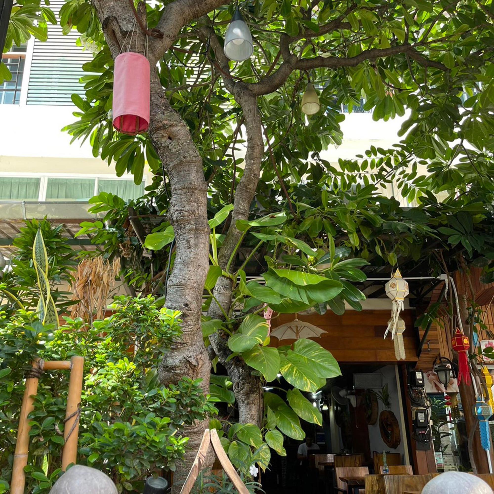 Bb House Budget & Boutique Chiang Mai Exterior foto